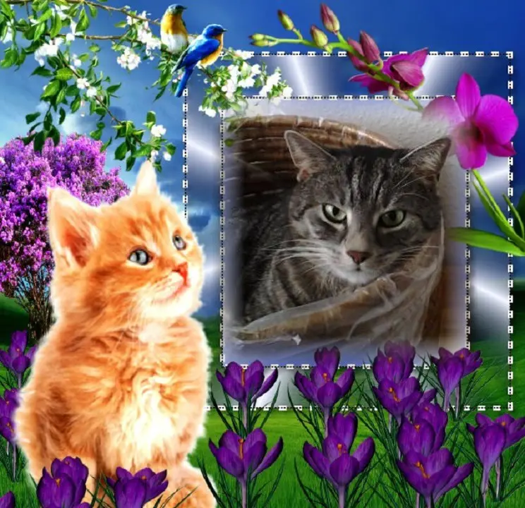 Andachtsbild von Patricia mit Bunny 