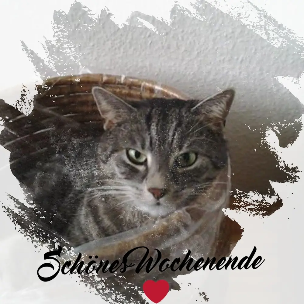 Andachtsbild von Patricia mit Bunny 