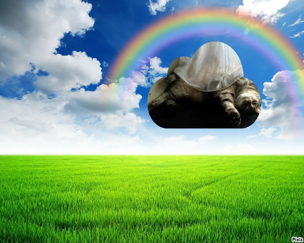 Andachtsbild von Post von Timmys Mutti Tanja an Engelchen Gatita 