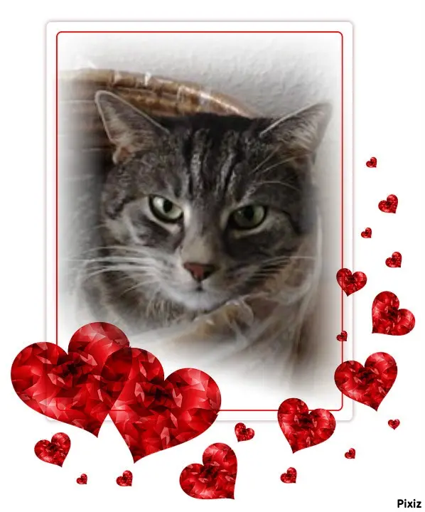 Andachtsbild von Patricia mit Bunny 