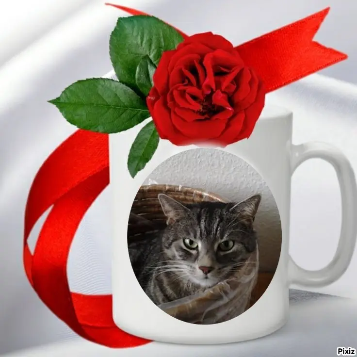 Andachtsbild von Patricia mit Bunny 