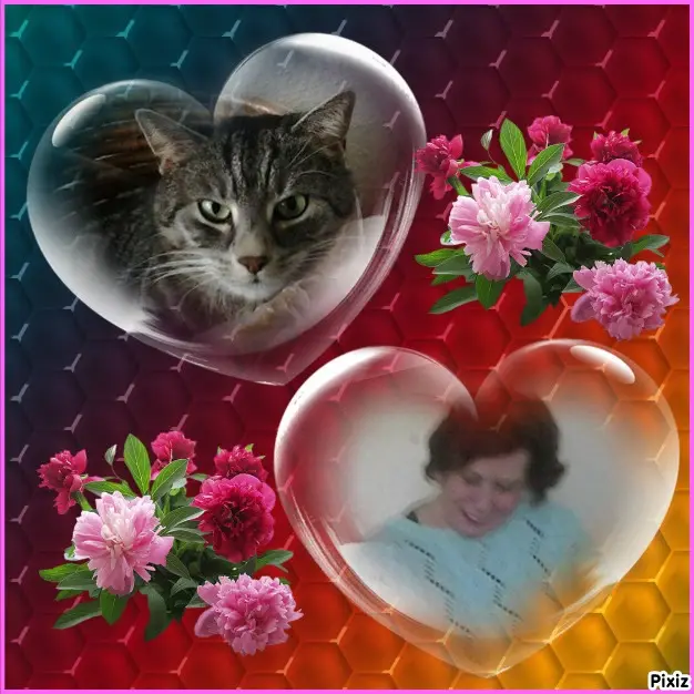 Andachtsbild von Post von Timmys Mutti Tanja an Gatita 