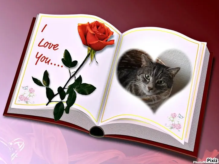 Andachtsbild von Patricia mit Bunny 