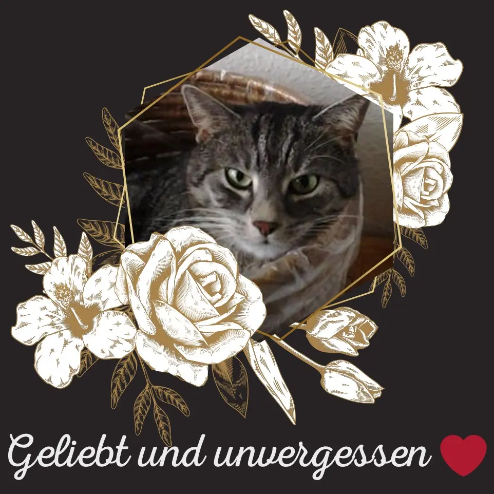 Andachtsbild von Sternchenpost ⭐