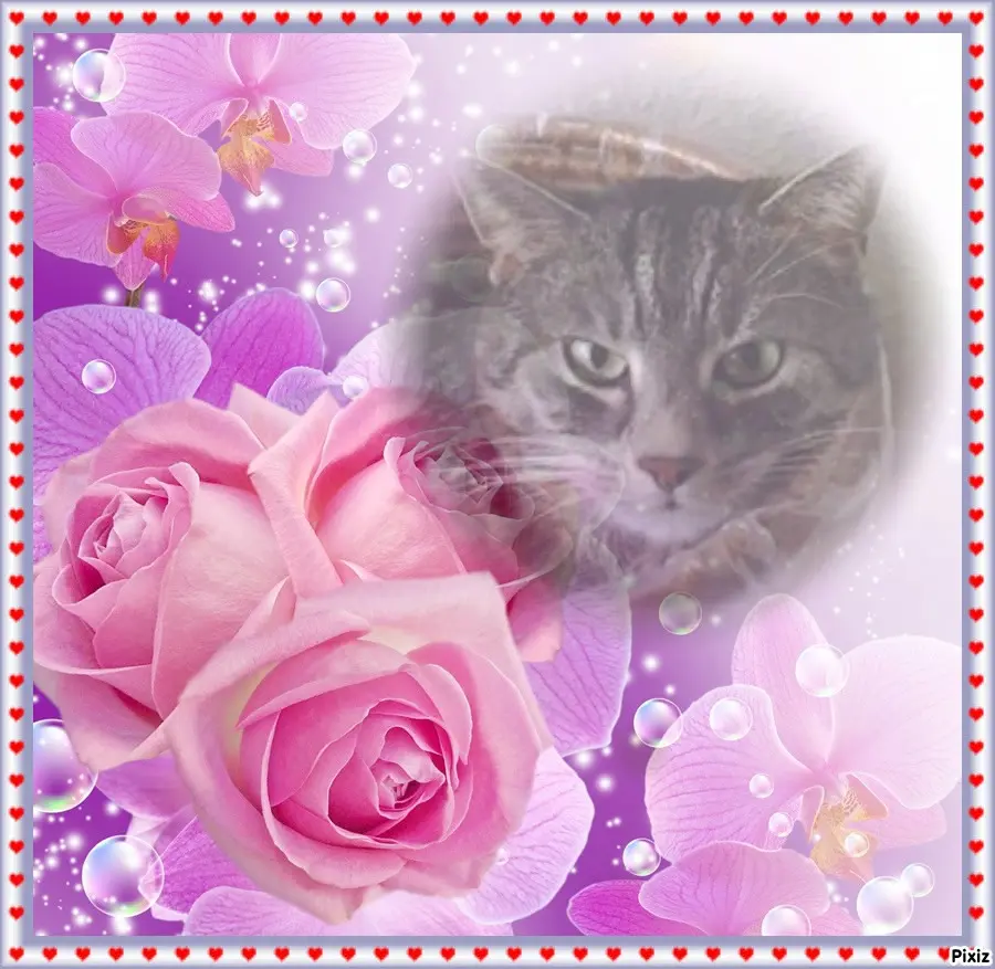 Andachtsbild von Patricia mit Bunny