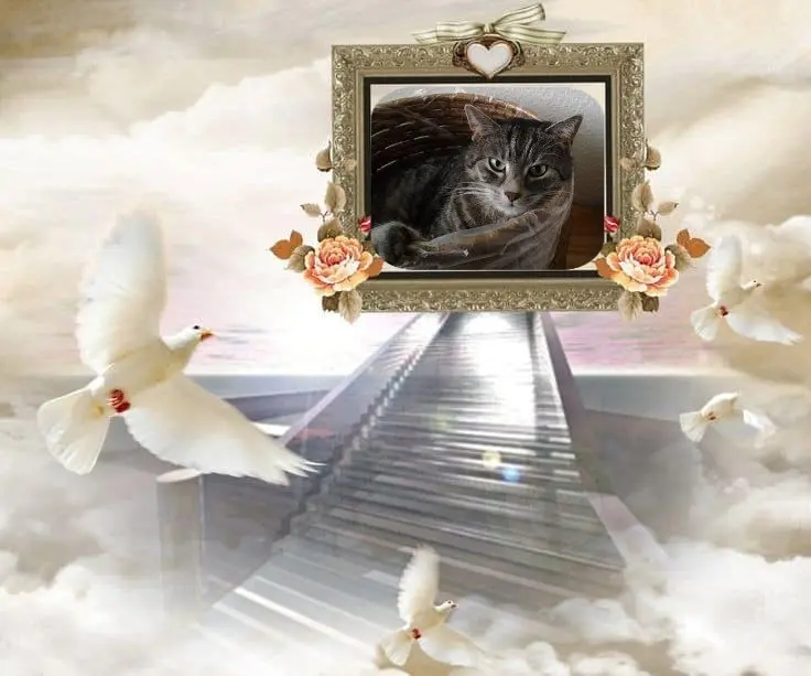 Andachtsbild von Patricia mit Bunny 