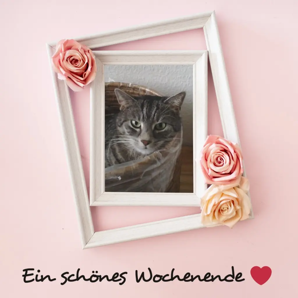 Andachtsbild von Patricia mit Bunny ❤️ 