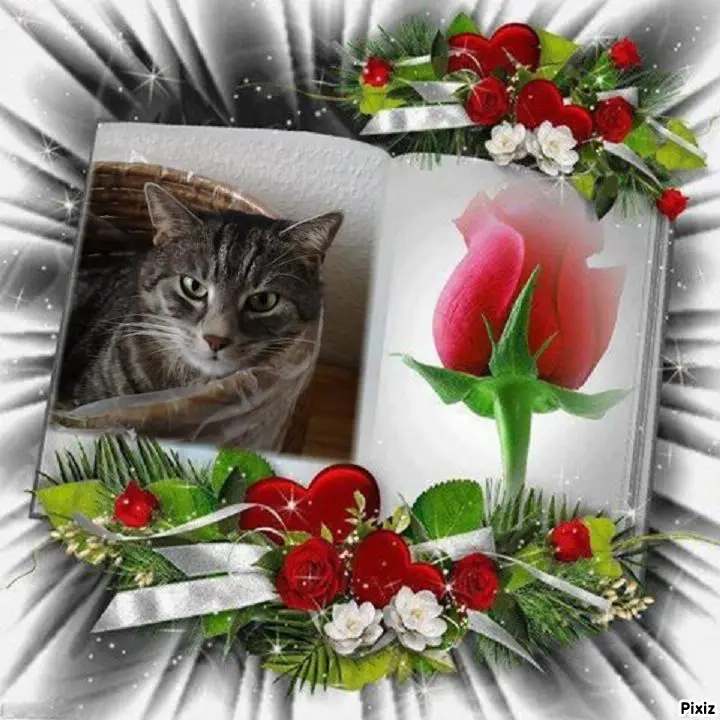 Andachtsbild von Patricia mit Bunny ❤️ 