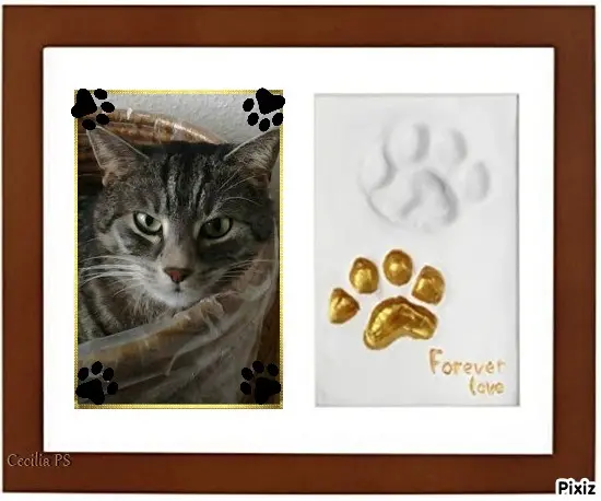 Andachtsbild von Timmys Mutti Tanja an Sternenprinzessin Gatita 