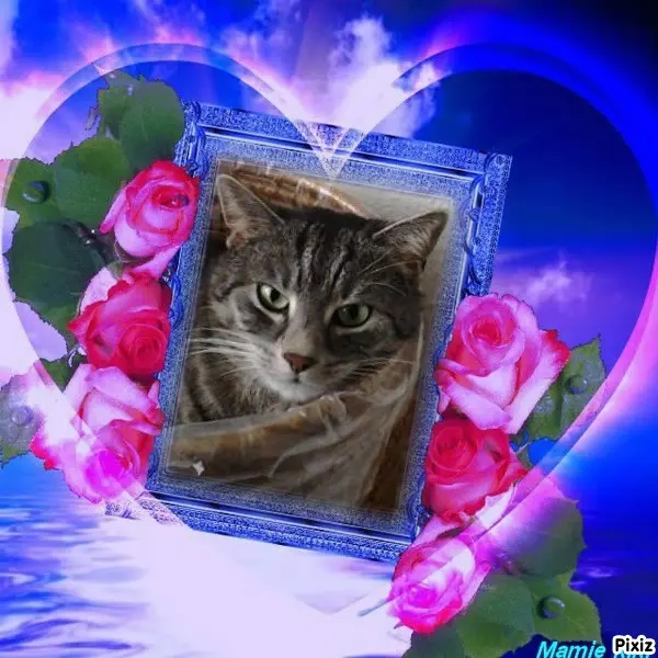 Andachtsbild von Sternchenpost ⭐