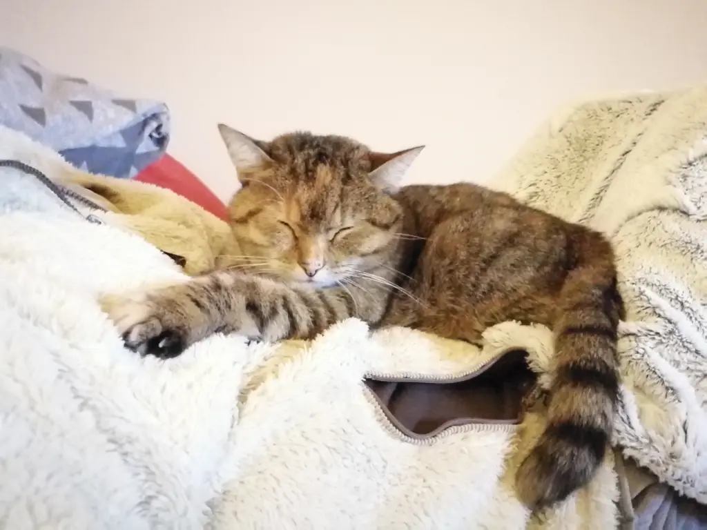 Andachtsbild von Daniela mit Pauline im ♥️ (+27.05.2021)