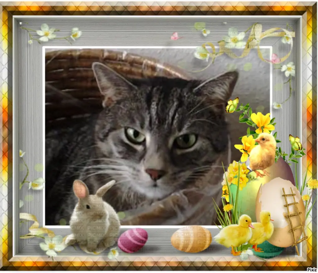 Andachtsbild von Patricia mit Bunny ❤