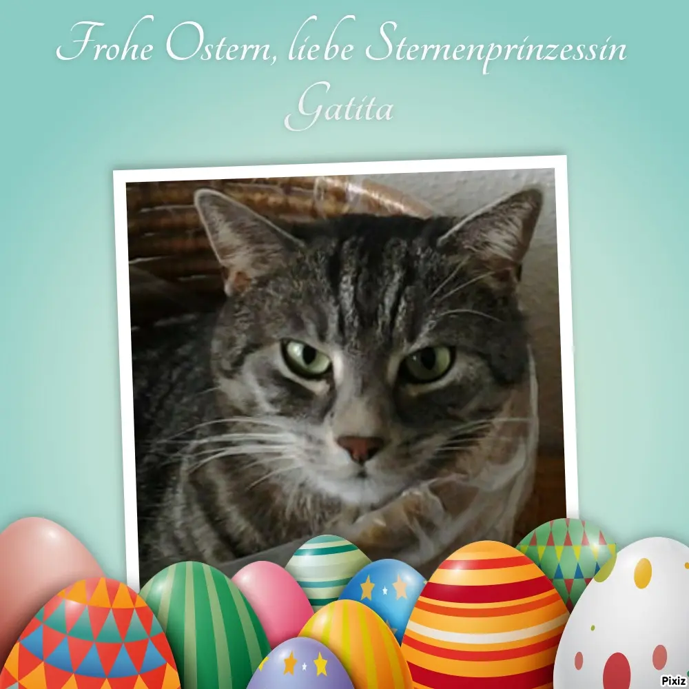 Andachtsbild von Post von Timmys Mutti Tanja an Sternenprinzessin Gatita 