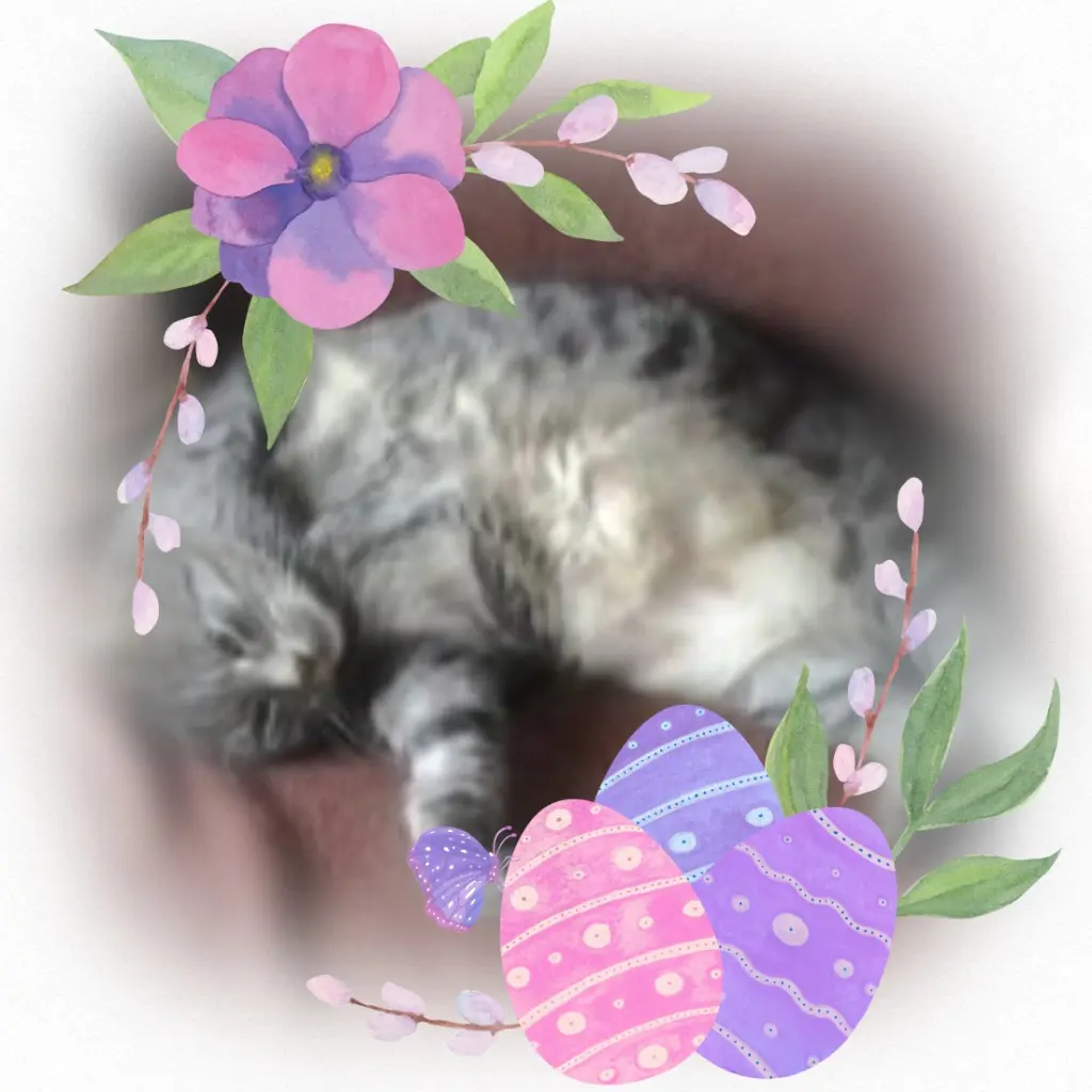 Andachtsbild von Andrea mit Minki im ♥️