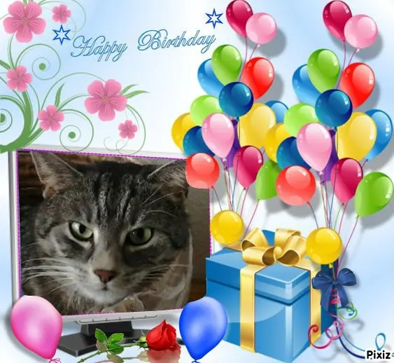 Andachtsbild von Timmys Mutti Tanja an Sternenprinzessin Gatita 