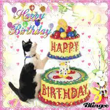 Andachtsbild von Anja mit Maja & Gräuli im ༺❤️༻