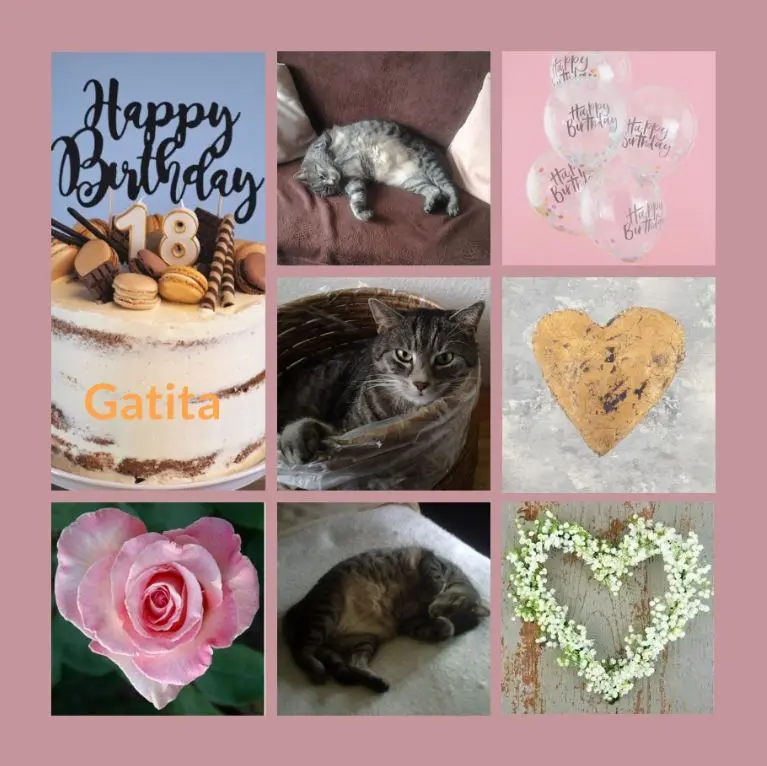 Andachtsbild von 18 Rosensträuße für das Geburtstagskind Gatita