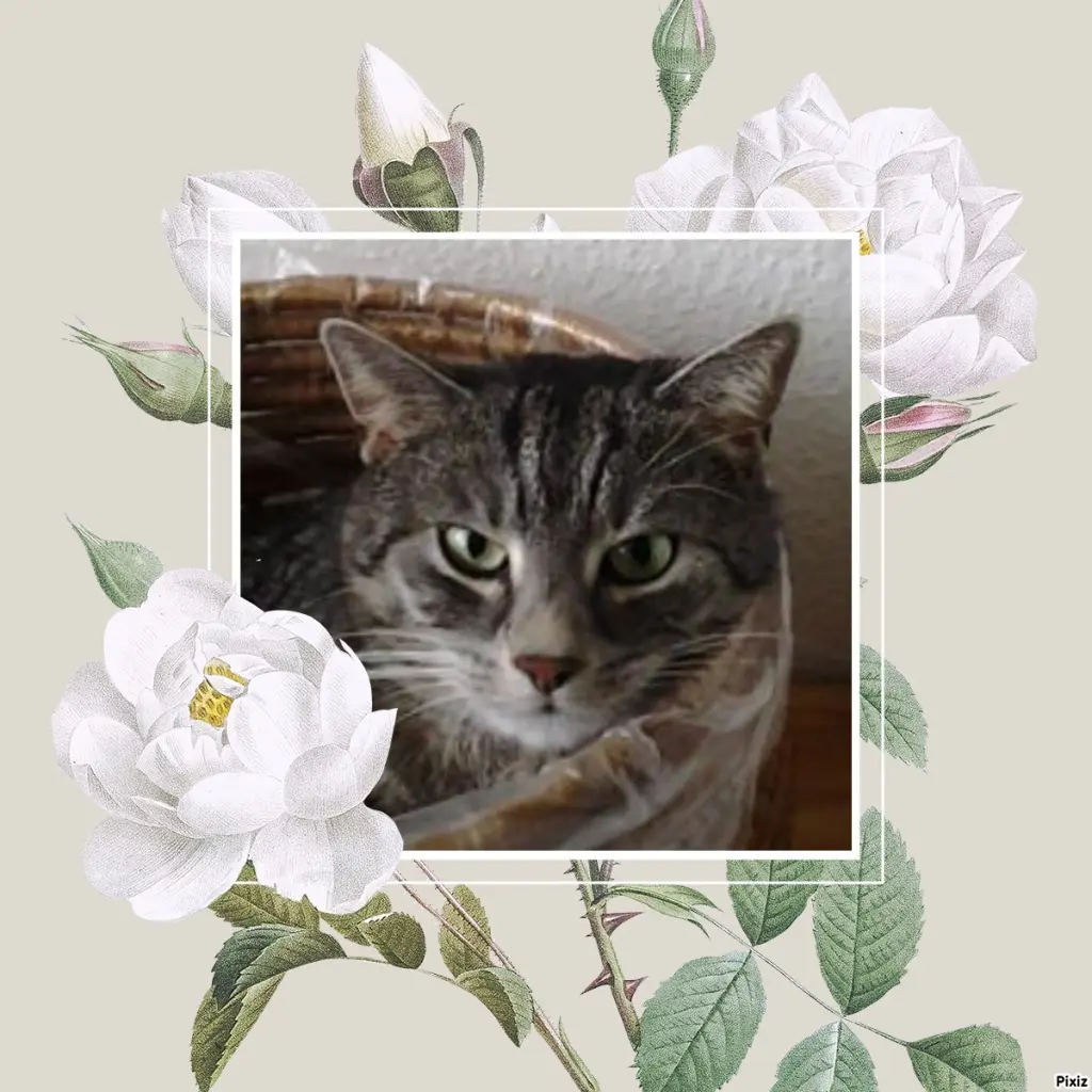 Andachtsbild von Patricia mit Bunny ❤️