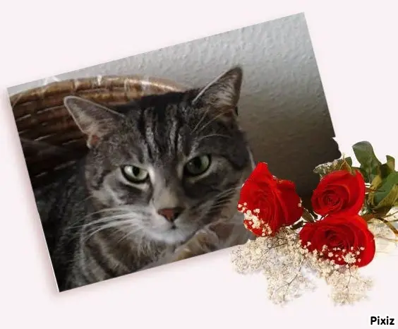 Andachtsbild von Patricia mit Bunny ❤