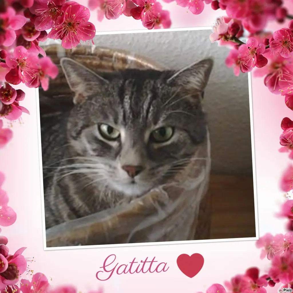 Andachtsbild von Sternchenpost ⭐