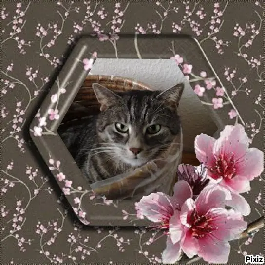 Andachtsbild von Unbekannt