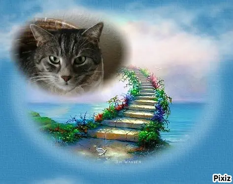 Andachtsbild von Timmys Mutti Tanja an Sternenprinzessin Gatita 