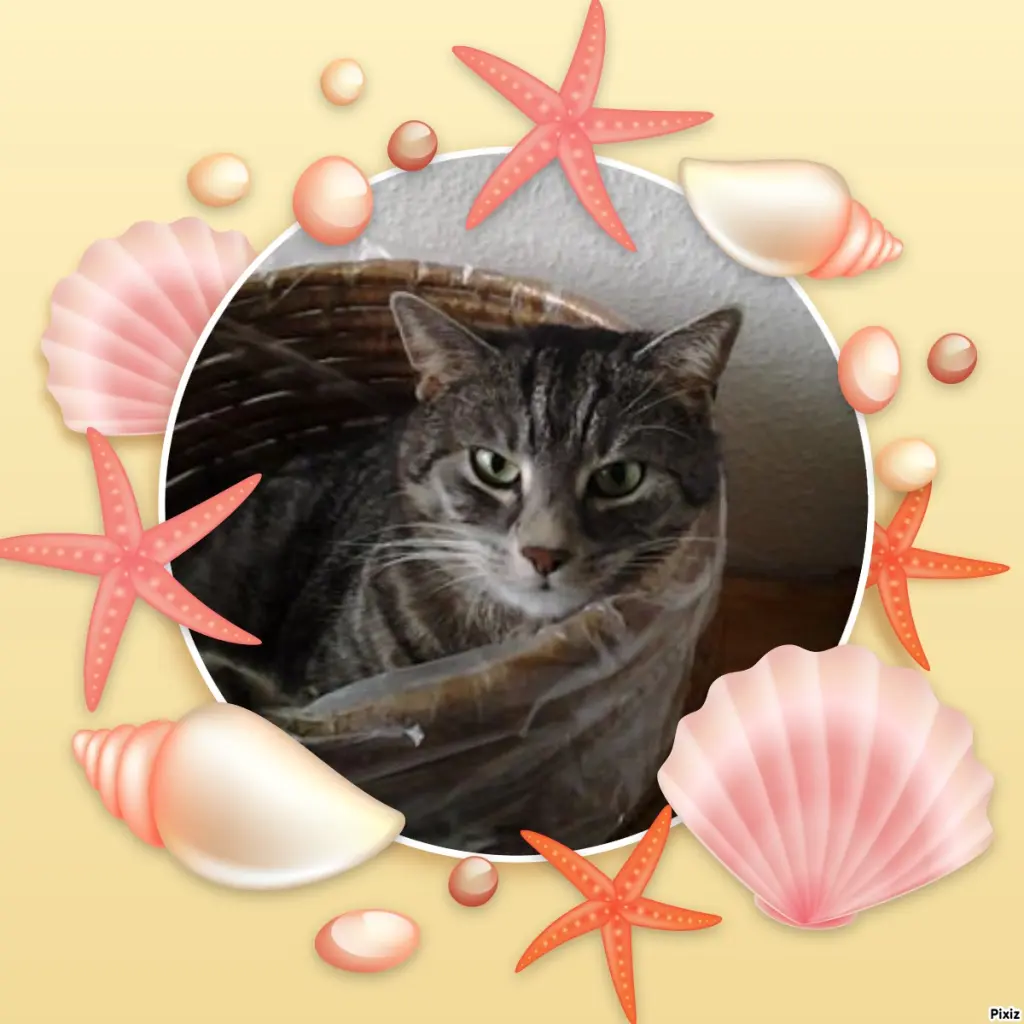 Andachtsbild von Sternchenpost ⭐