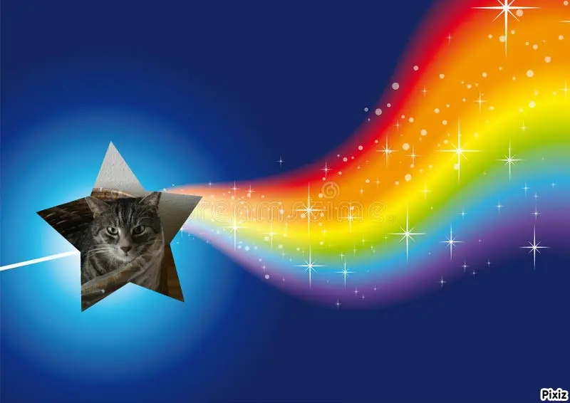 Andachtsbild von Timmys Mutti Tanja an Sternenprinzessin Gatita 