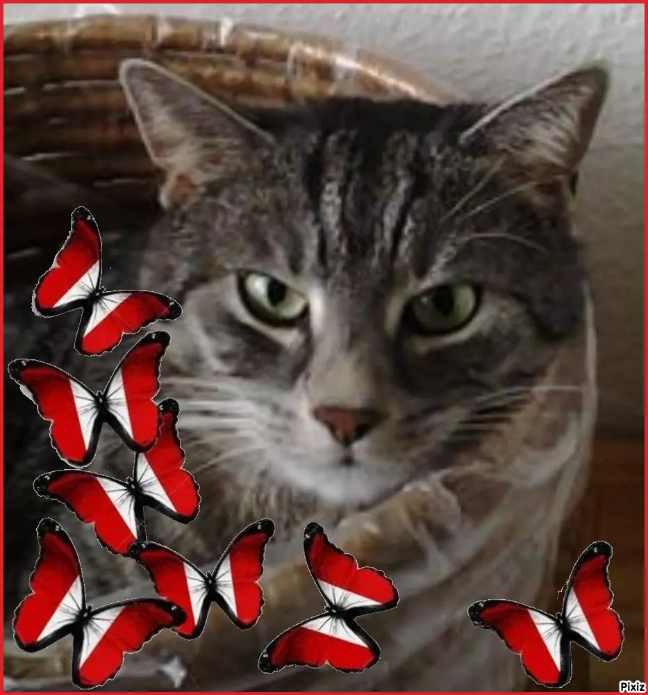 Andachtsbild von Sternchenpost ⭐