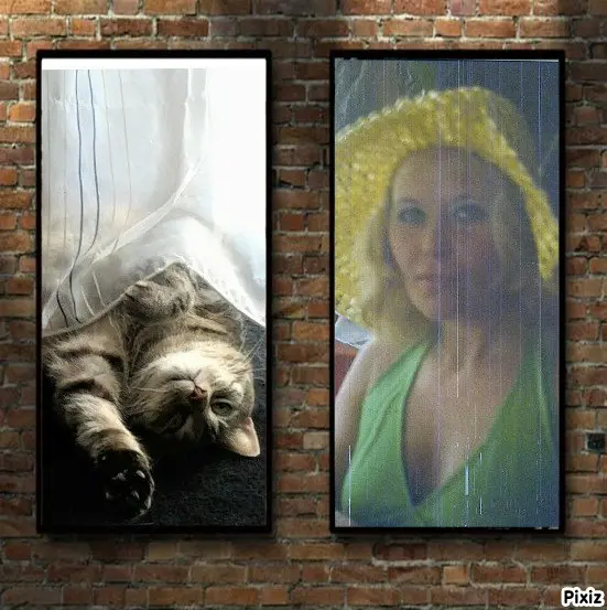 Andachtsbild von Timmys Mutti Tanja an Sternenprinzessin Gatita 