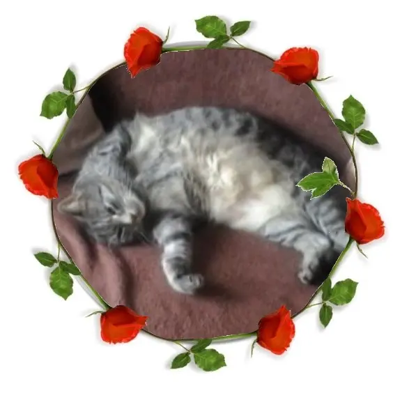 Andachtsbild von Andrea mit Minki im ♥️