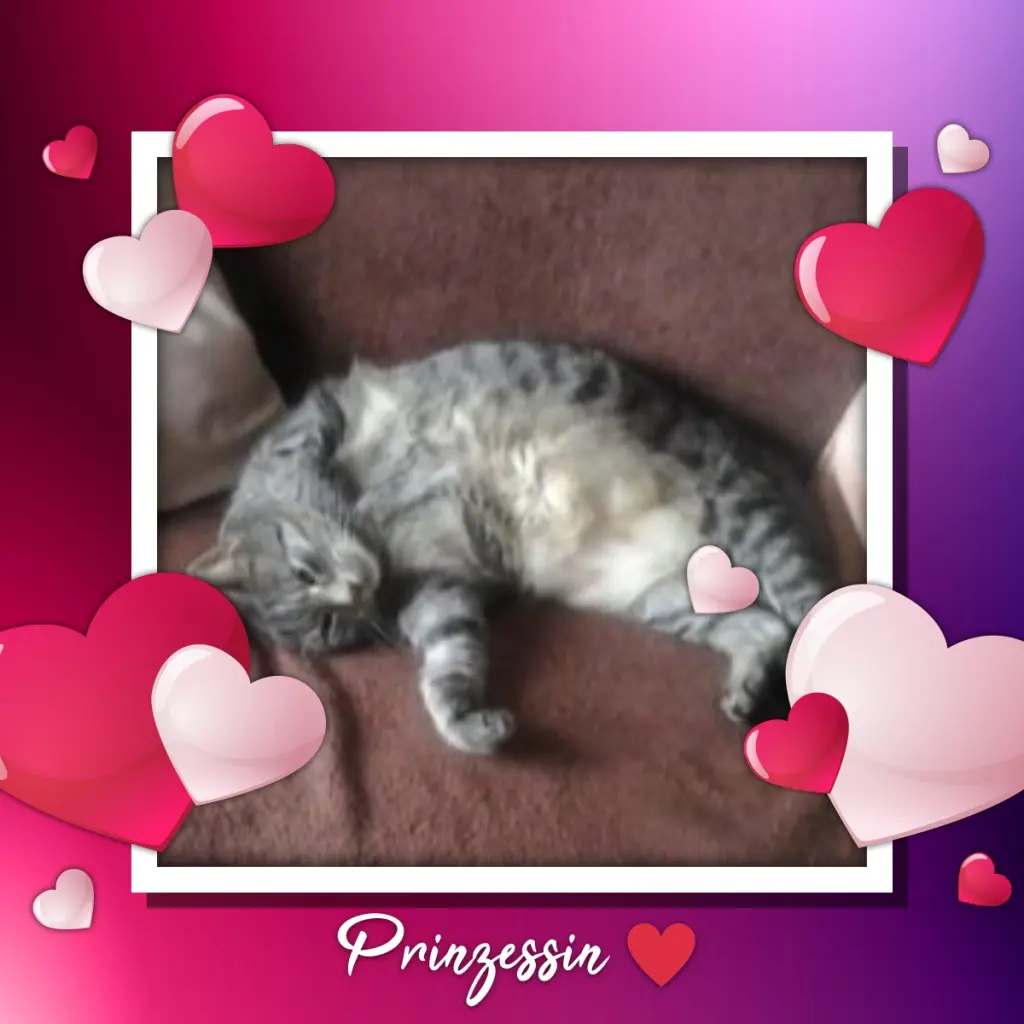 Andachtsbild von Andrea mit Minki im ♥️