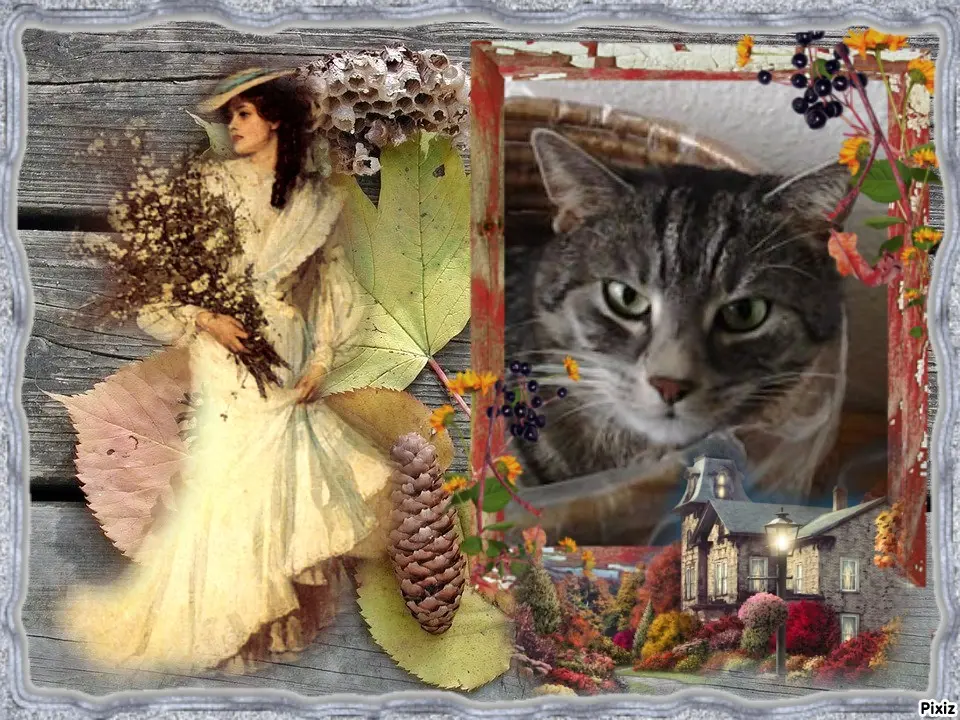 Andachtsbild von Sternchenpost ⭐