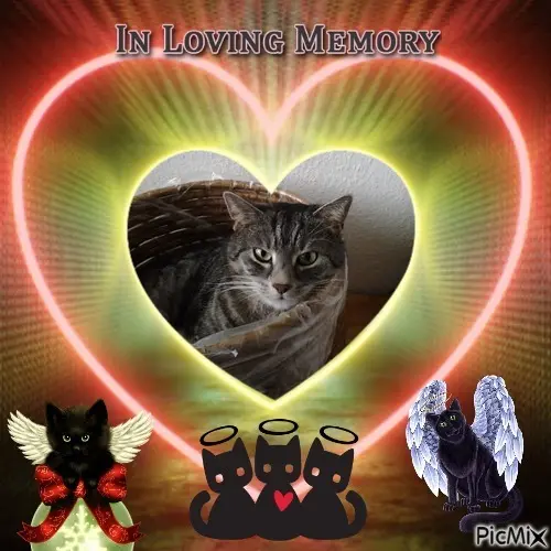 Andachtsbild von 2.Sternchen❤️Gedenktag❤️❤️