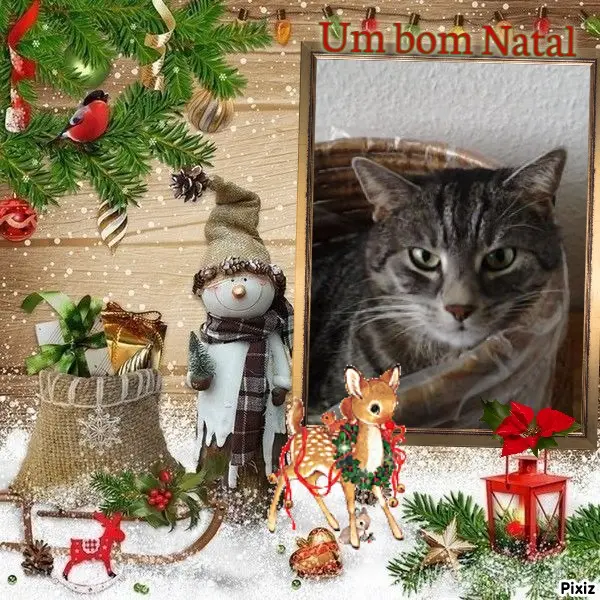 Andachtsbild von Advendsgrüße ❤️