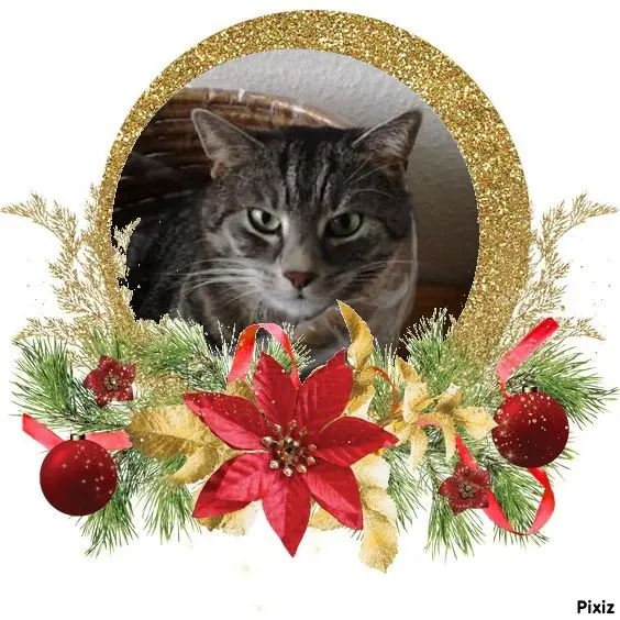 Andachtsbild von Patricia mit Bunny ❤️ 