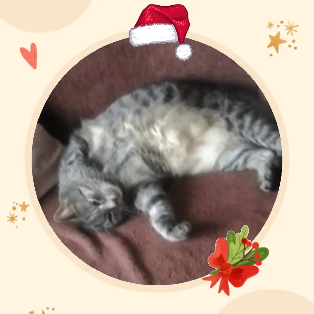 Andachtsbild von Andrea mit Minki im ♥️