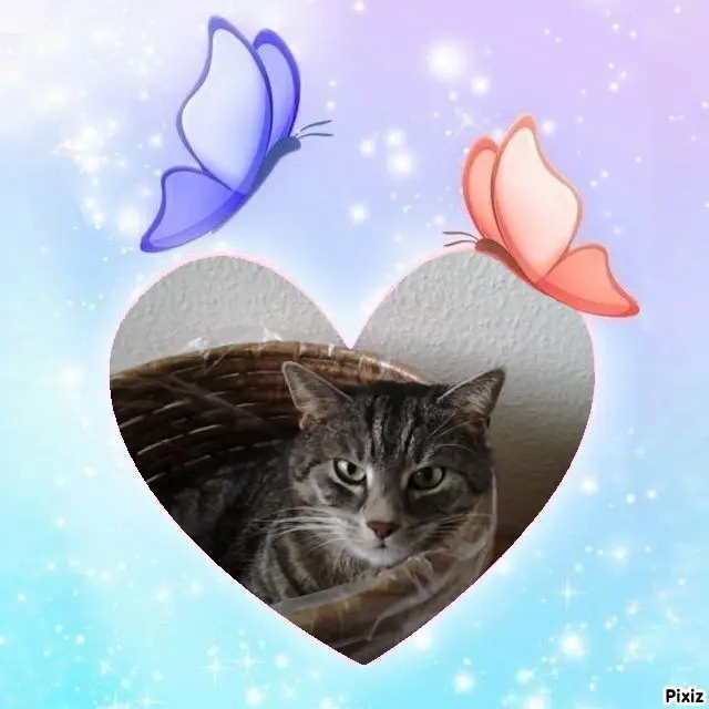 Andachtsbild von Sternchenpost ⭐