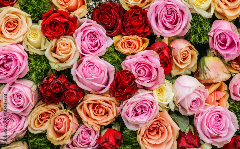 Andachtsbild von Corinna mit Emma, Pummelchen und anderen Sternlein im ❤️