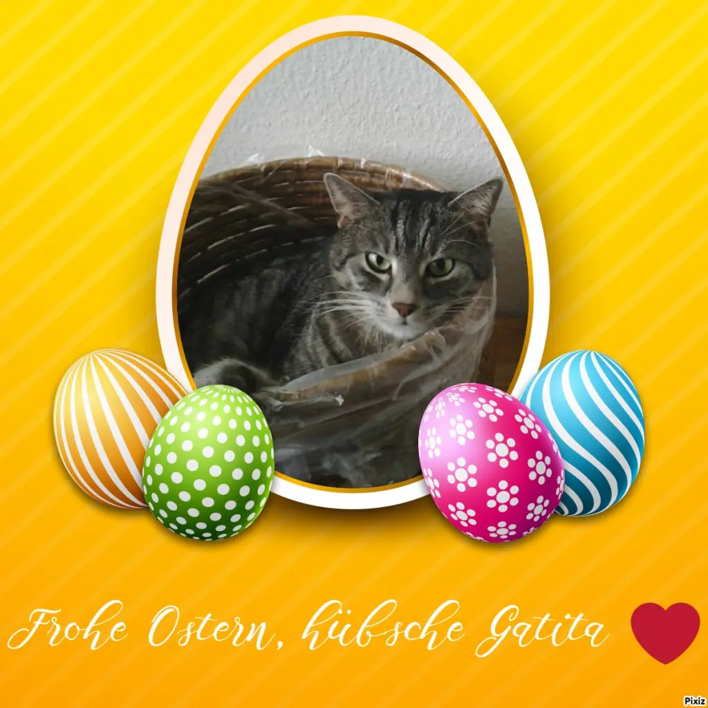 Andachtsbild von Timmys Mutti Tanja an Sternenprinzessin Gatita ❤