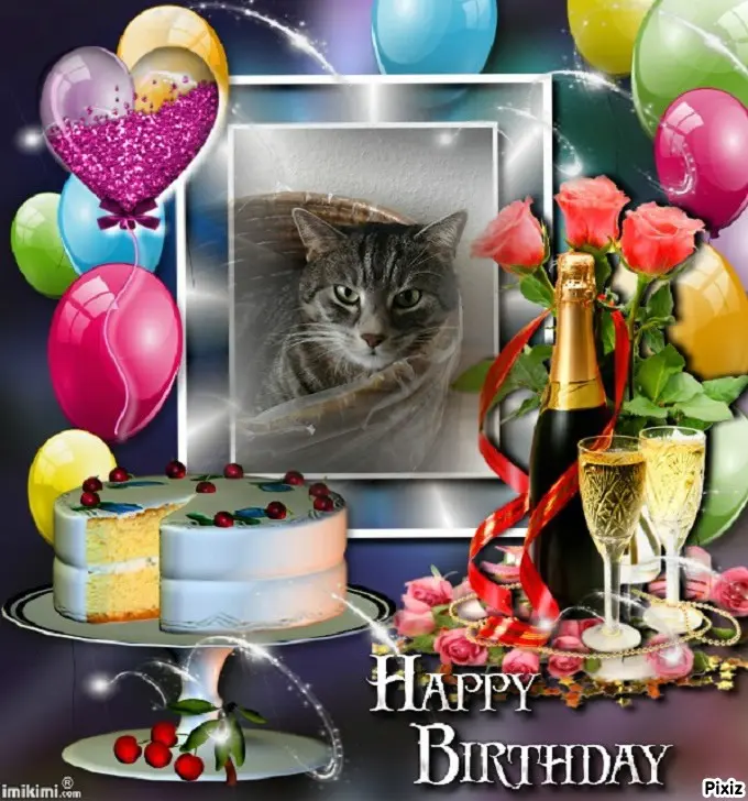 Andachtsbild von Timmys Mutti Tanja an Sternenprinzessin Gatita ❤