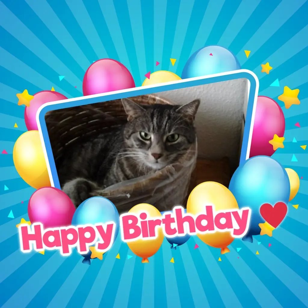 Andachtsbild von Andrea mit Minki im ♥️ gest. 19.10.2020