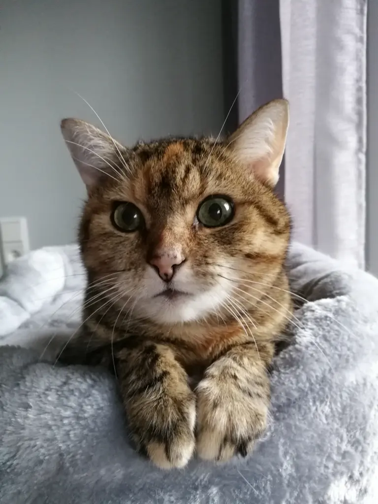 Andachtsbild von Daniela  mit Pauline im ♥️