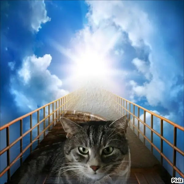 Andachtsbild von Tanja mit Timmy im Herzen