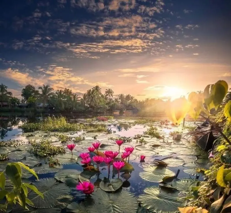 Andachtsbild von Corinna mit Emma, Pummelchen und anderen Sternlein im ❤️