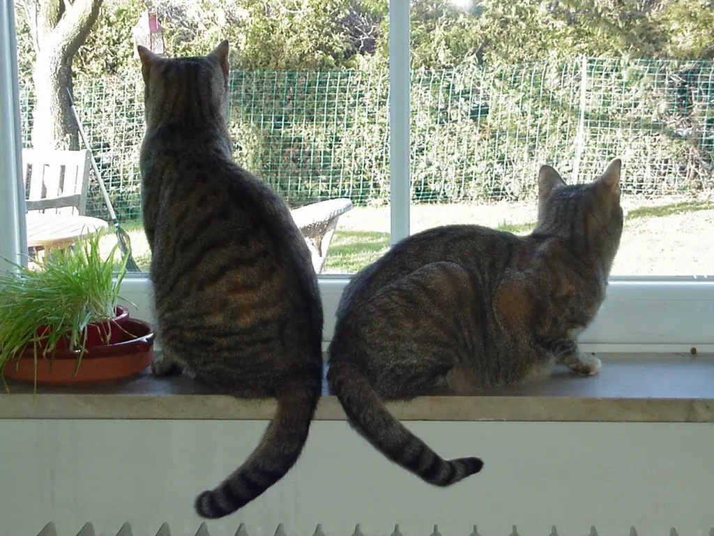 Andachtsbild von Marple und Christie ♥♥