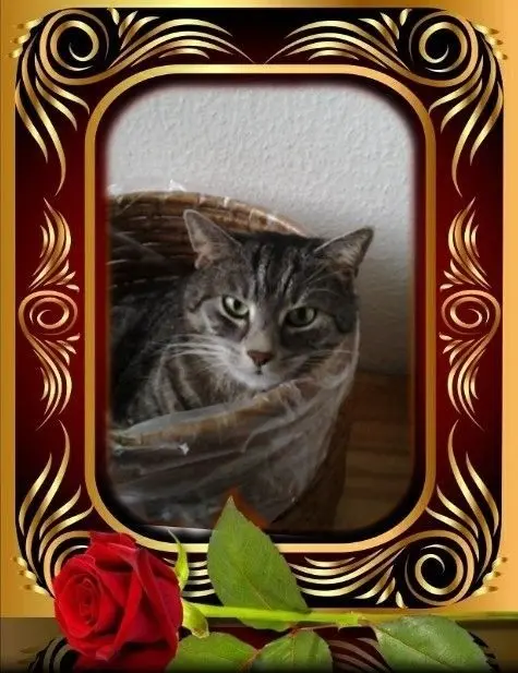 Andachtsbild von Andrea mit Minki im ♥️