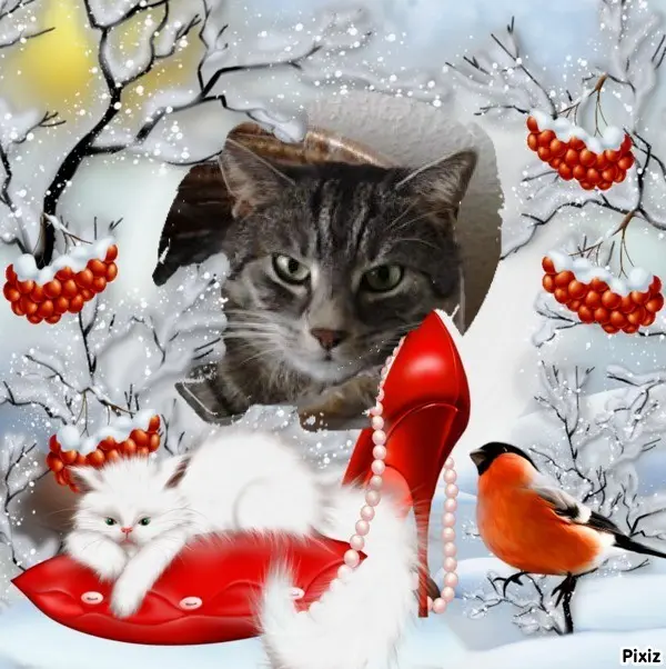 Andachtsbild von Unbekannt