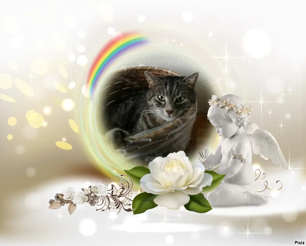 Andachtsbild von Timmys Mutti Tanja an Sternenprinzessin Gatita ❤