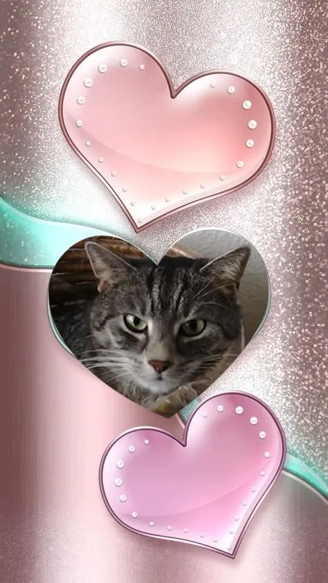 Andachtsbild von Fur Gatitchen❤️⭐️